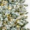 6.5ft. Pre-Lit Snowy Chatham Slim Artificial Christmas Tree, Warm White LED Lights